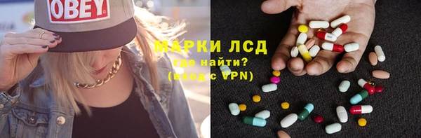 ГАЛЛЮЦИНОГЕННЫЕ ГРИБЫ Вязьма