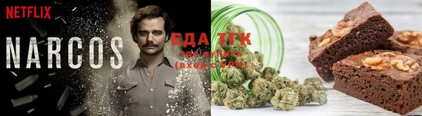 ГАЛЛЮЦИНОГЕННЫЕ ГРИБЫ Вязьма
