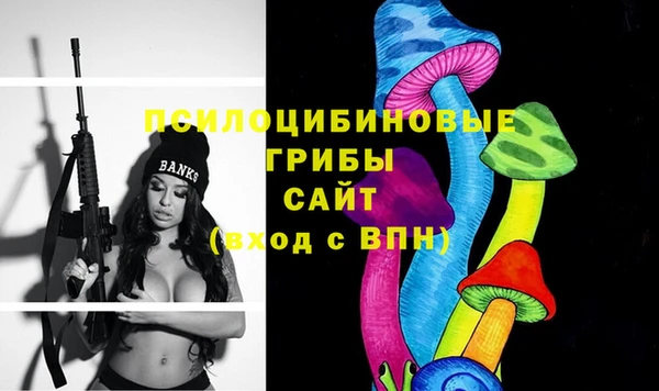 прущая мука Вязники
